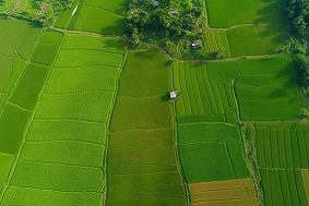 浙江：創(chuàng)新投融資模式 賦能高標(biāo)準(zhǔn)農(nóng)田建設(shè)